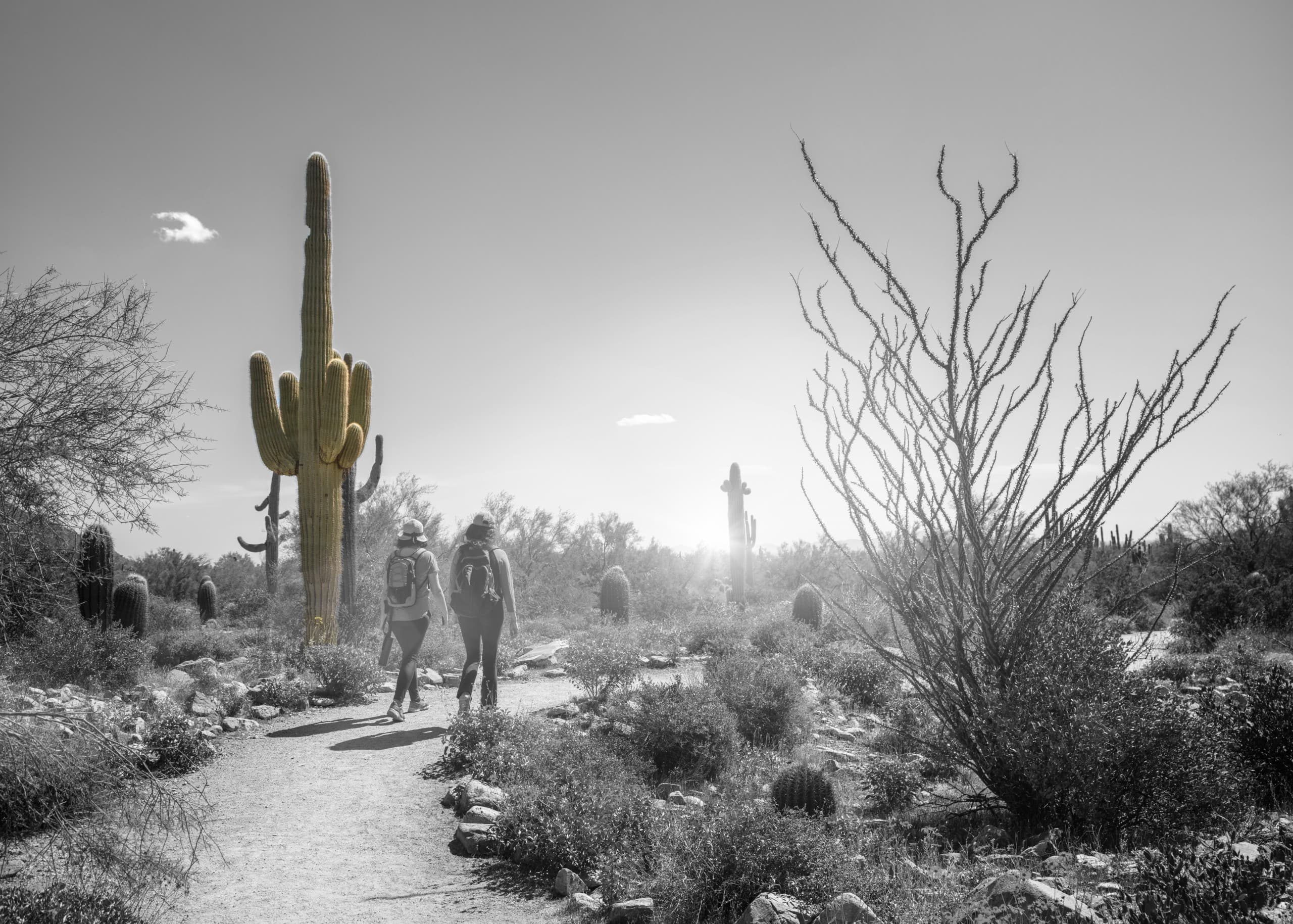 Individuals participating in expressive arts therapy